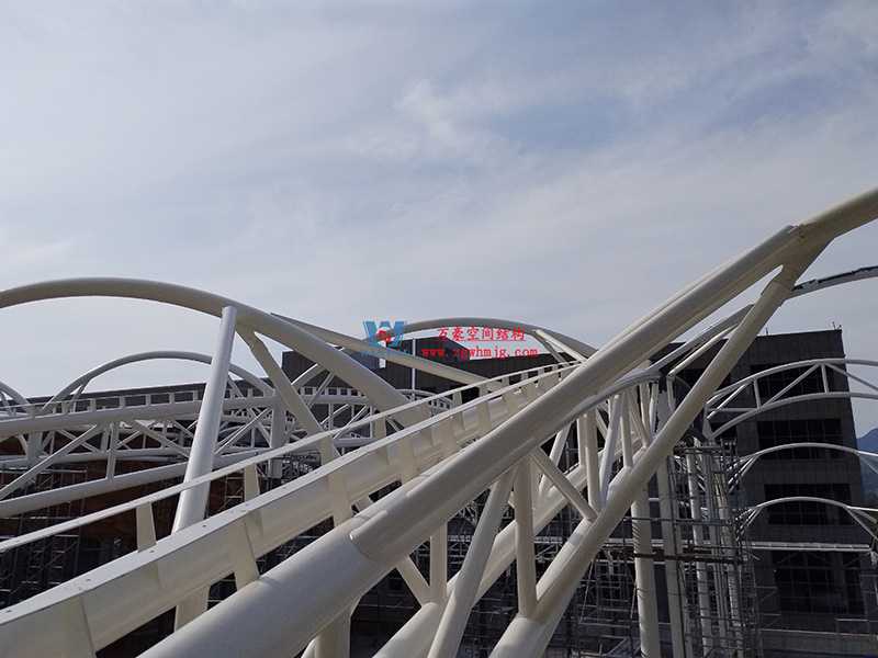 浙江真愛毯業(yè)科技有限公司廠房三屋面膜結構工程完工大吉！