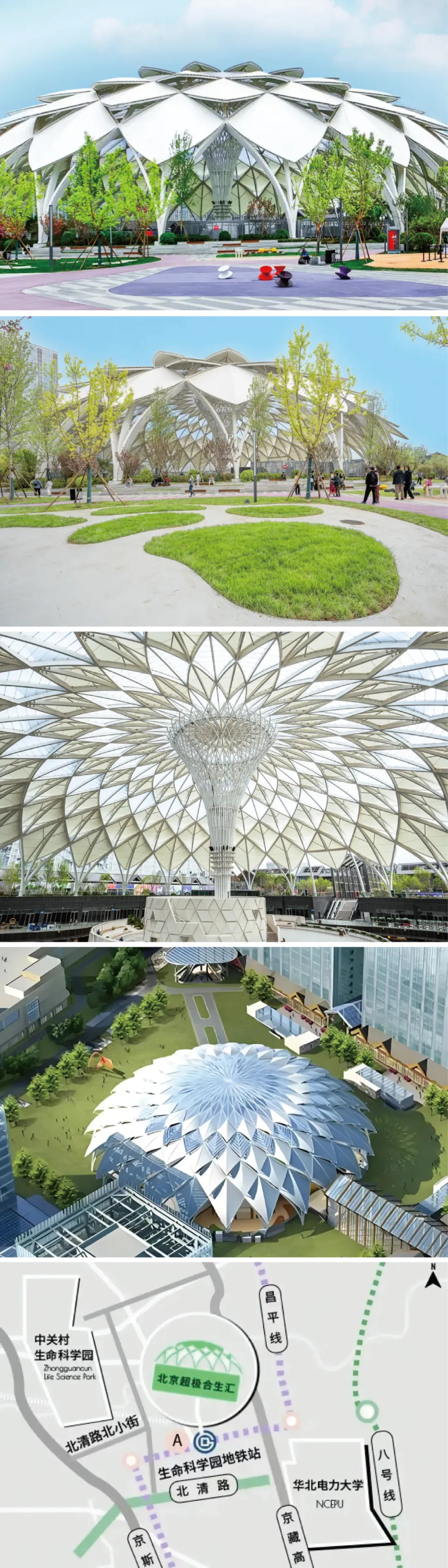 膜結構的魅力—穹頂天幕的魔法時刻