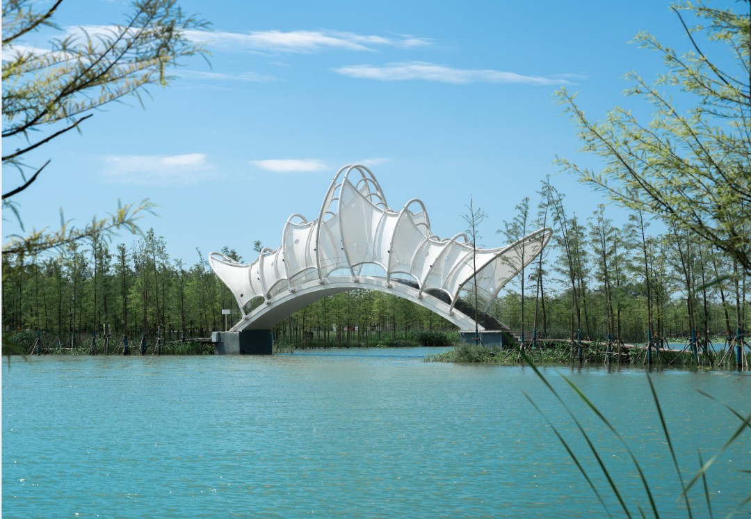 這家設計界“夢工廠”把童話搬入現實