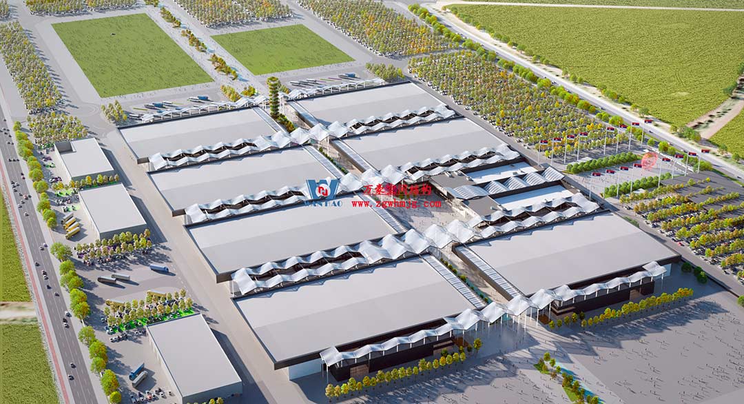 深化合作，推進(jìn)新時(shí)代中塞友誼建設(shè)